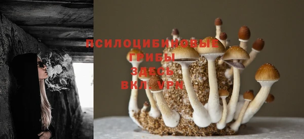 гашик Балахна