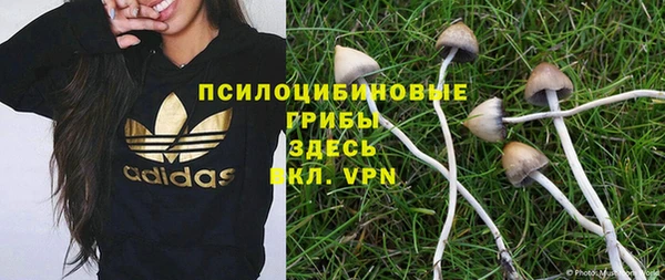 стафф Балабаново